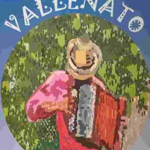 Acordeón Vallenato 1