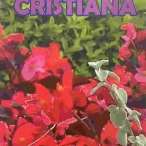 Musica Cristiana II